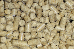 Sheigra biomass boiler costs